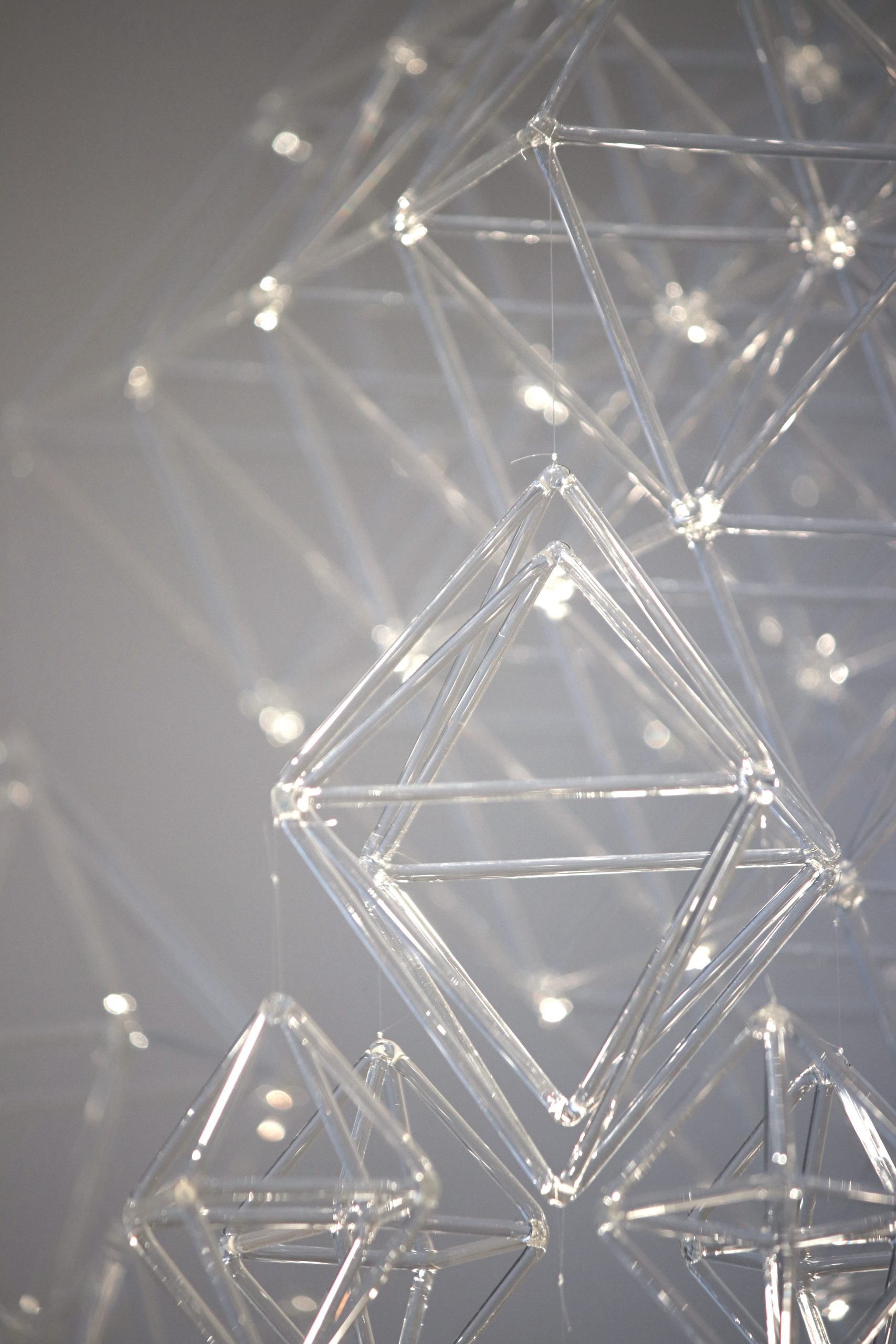 Alises Puzuris, 2025